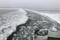 Eisschollen auf der Ostsee