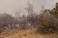 Feuer bedroht US-Nationalpark