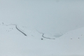 Alpen: Schnee bis weit herunter