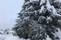 Enorme Schneemassen in Südtirol