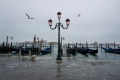 Venedig: Schon wieder Land unter