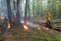 Viele Waldbrände in Russland