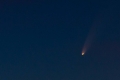 Komet Neowise am Nachthimmel
