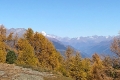 Oktobersonne im Schweizer Wallis