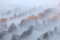 Die schönen Seiten des Nebels